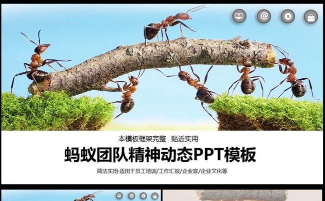 大气蚂蚁精神企业文化企业简介PPT模板图片下载缩略图