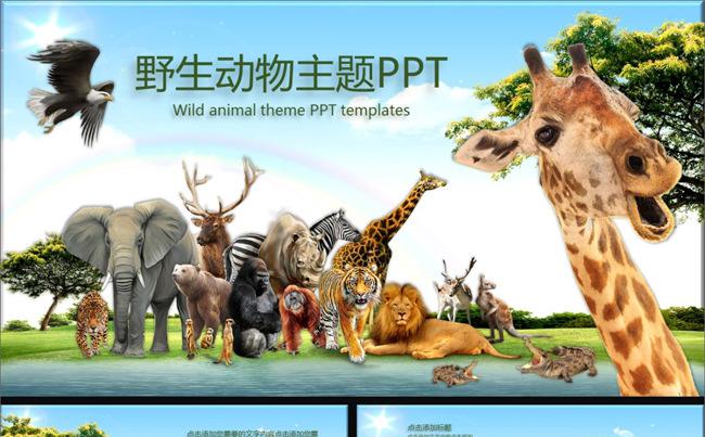 29P野生动物主题动物园PPT模板缩略图