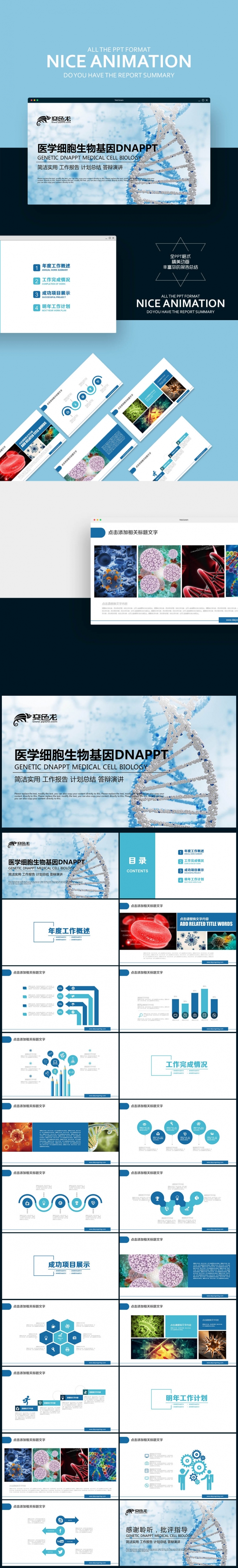 【壹德】医学细胞 生物基因DNA 遗传生命学 生物医学PPT
