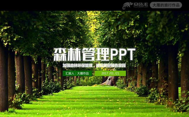 绿色环保植树造林林业管理保护自然PPT缩略图