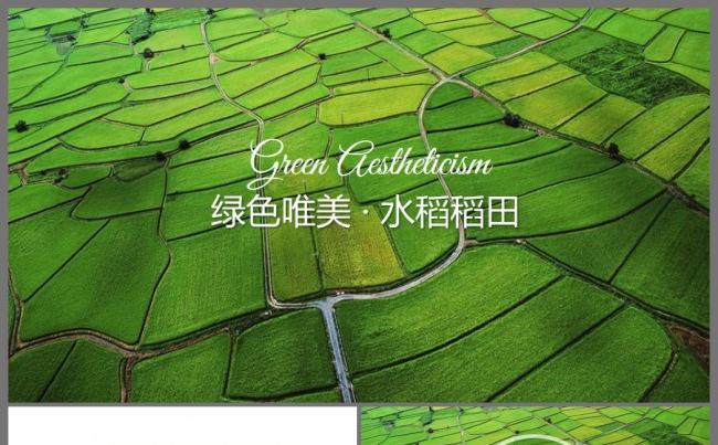 清新绿色唯美梯田水稻种植农业生产动态ppt模板缩略图