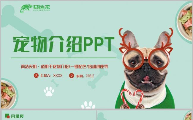 【萌宠来啦】清新宠物店宠物领养宠物美容宠物介绍PPT缩略图