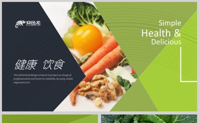 健康饮食项目策划商业计划书ppt模板缩略图