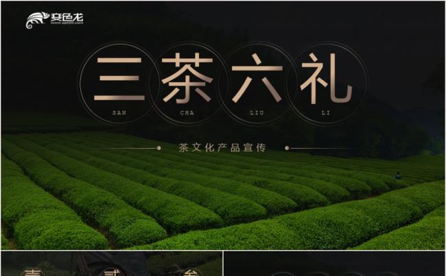 简约创意绿色三茶六礼茶文化产品宣传PPT模板缩略图
